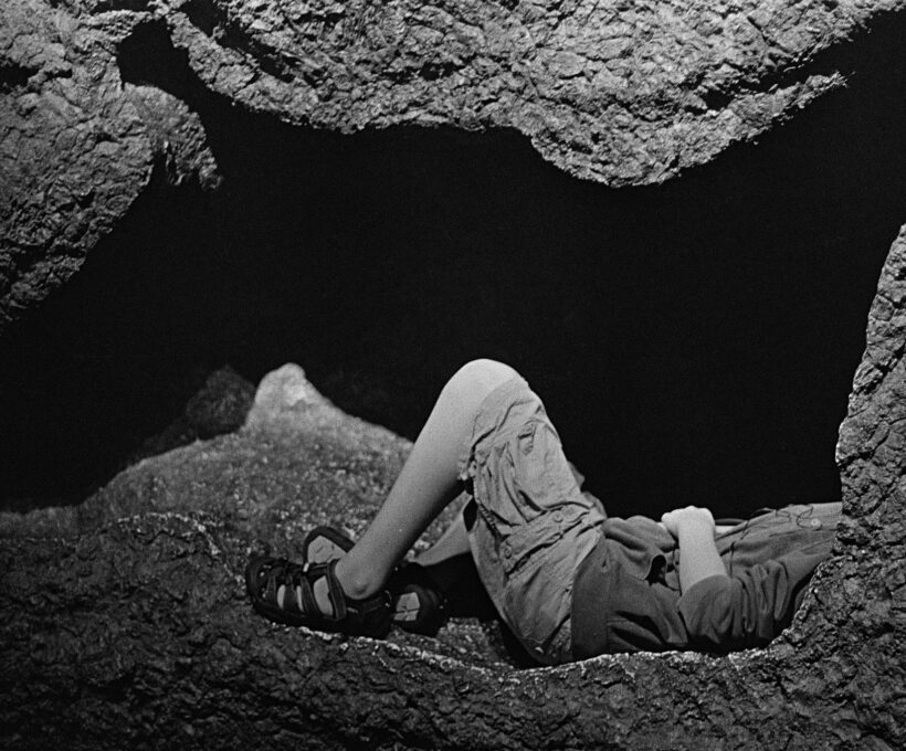 Michael Pollan Trips Over Consciousness:And Into a Cave